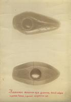 Фото. Молотки из диорита. 1890 – 1900. Инв. № М-13535/4, арх. № 24-11-09