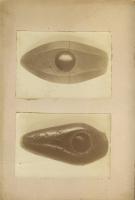 Фото. Лист с двумя фотографиями «Молотки из диорита». 1890 – 1900. Инв. № М-13535/4, арх. № 24-11-10